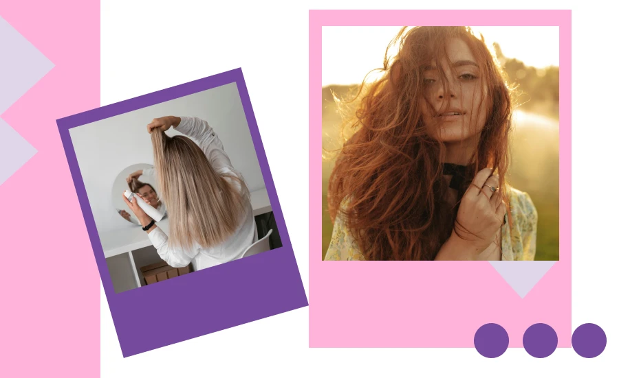 Top Rated Hair Dryer