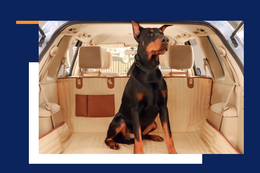 Dog Hammock For The Car