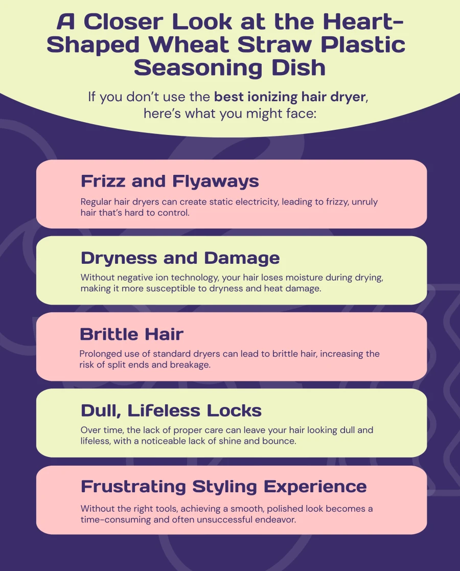 Best Ionizing Hair Dryer